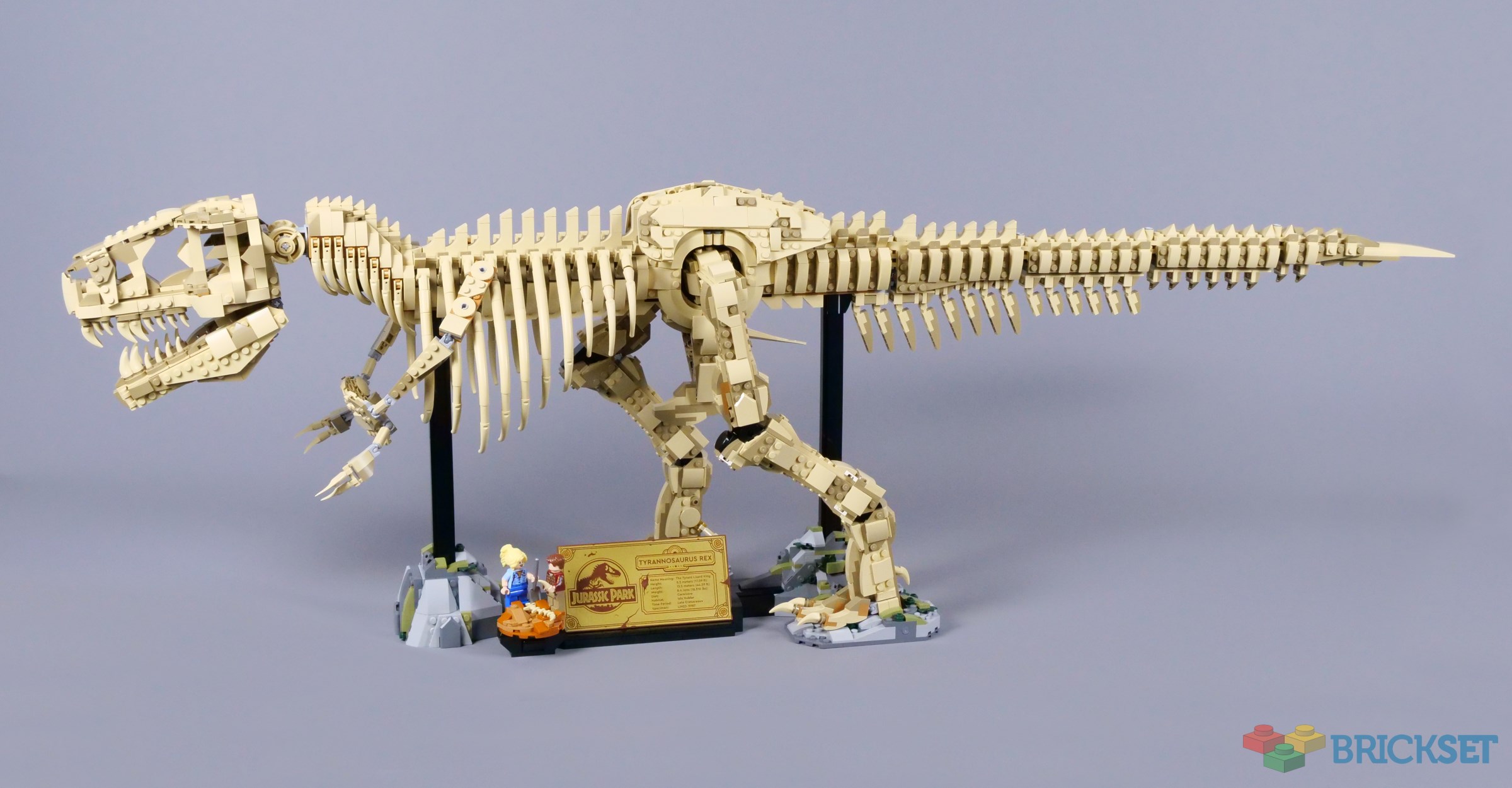 ELDRESO Bone Dinosaur Long エルドレッソ ALLOSAURUS Dinosaur MOUNTED baby Skeleton Fossil Replica - 9